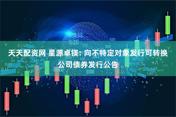 天天配资网 星源卓镁: 向不特定对象发行可转换公司债券发行公告