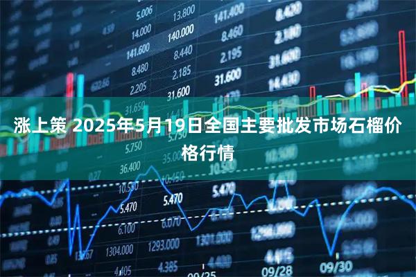 涨上策 2025年5月19日全国主要批发市场石榴价格行情