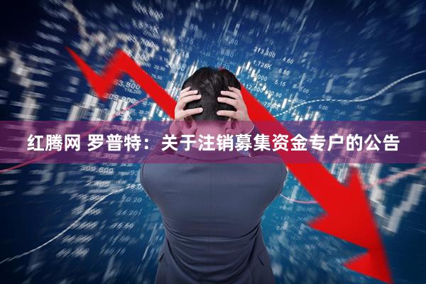 红腾网 罗普特：关于注销募集资金专户的公告