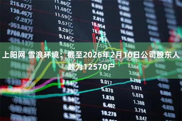 上阳网 雪浪环境：截至2026年2月10日公司股东人数为12570户