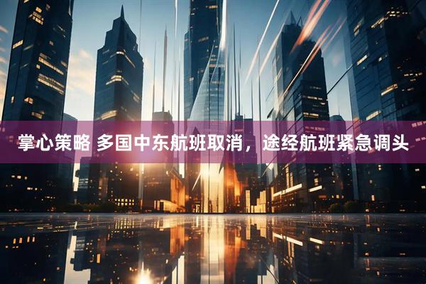 掌心策略 多国中东航班取消，途经航班紧急调头
