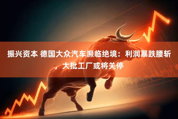 振兴资本 德国大众汽车濒临绝境：利润暴跌腰斩，大批工厂或将关停